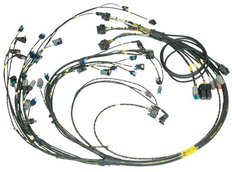 lsx engine wiring harness